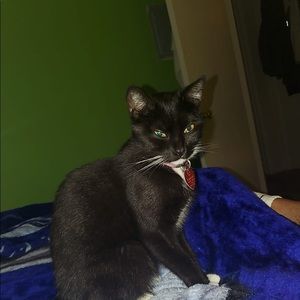 Meet your Posher, Jose